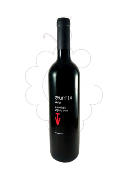 Foto Vins de Taller Geum vino tinto
