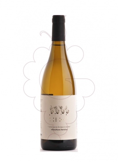 Abadia Da Cova Loia 2021