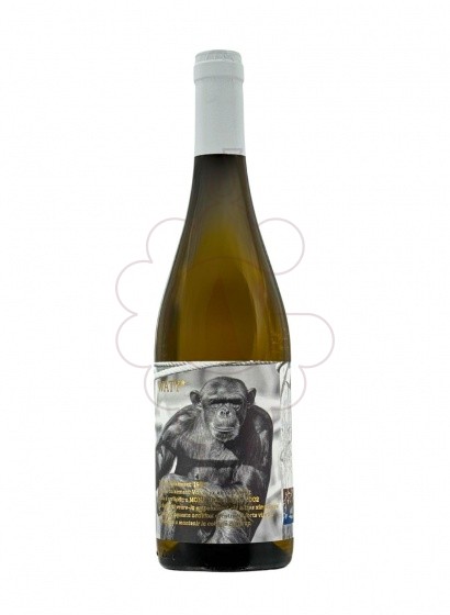 Àfrica Mono Blanco 2024