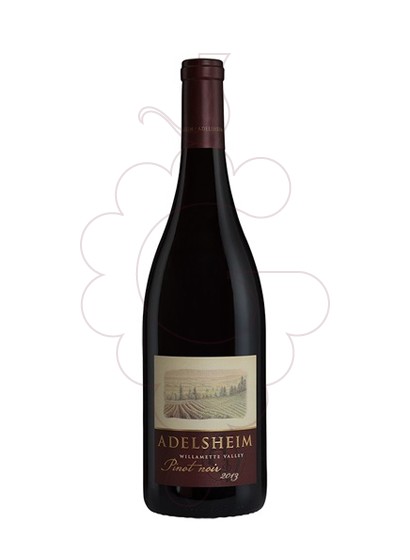 Foto Adelsheim Willamette Valley Pinot Noir vino tinto