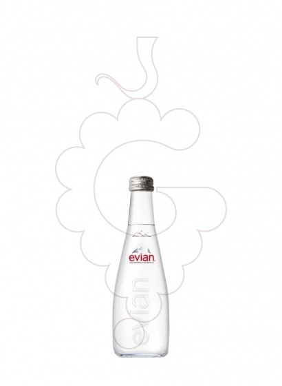 Foto Refrescos Aigua evian natural 33 cl