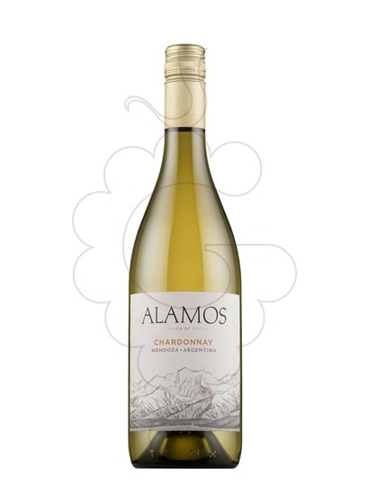 Foto Alamos Chardonnay vino blanco