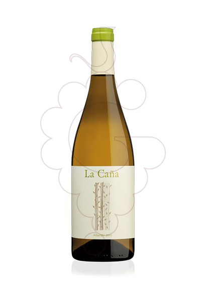 Foto Albariño la Caña vino blanco