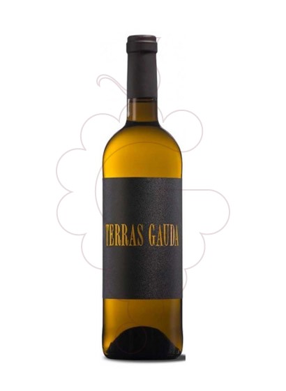 Foto Albariño Terras Gauda Etiqueta Negra vino blanco