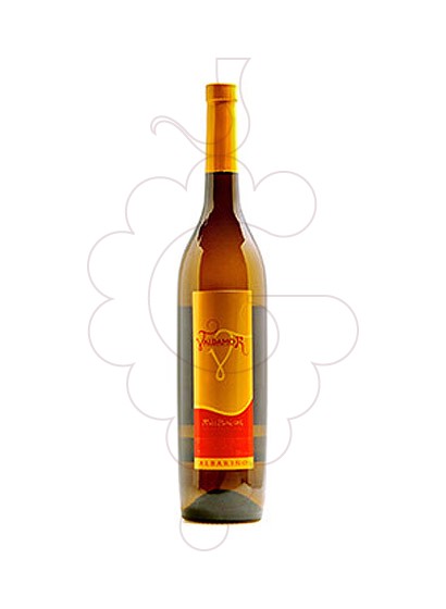 Foto Albariño Valdamor vino blanco
