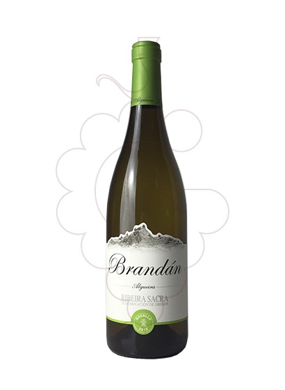 Foto Algueira Brandán Godello vino blanco