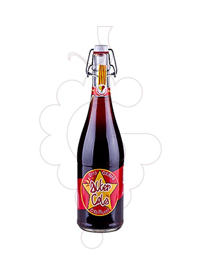 Foto Refrescos Alter Cola