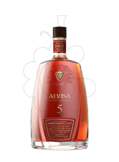 Foto Brandy Alvisa 5 Años