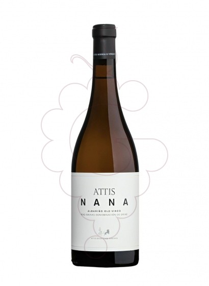 Attis Albariño Nana 2022
