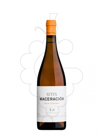 Attis Sitta Maceracion Oran 22 2022