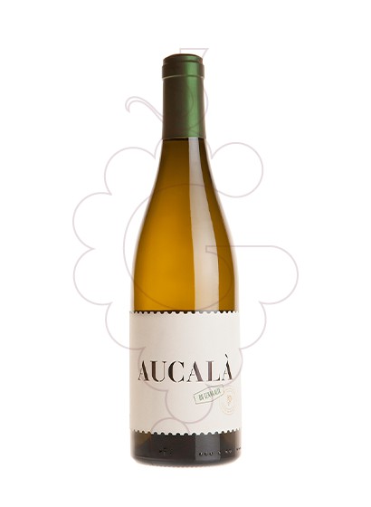 Foto Aucalà vino blanco