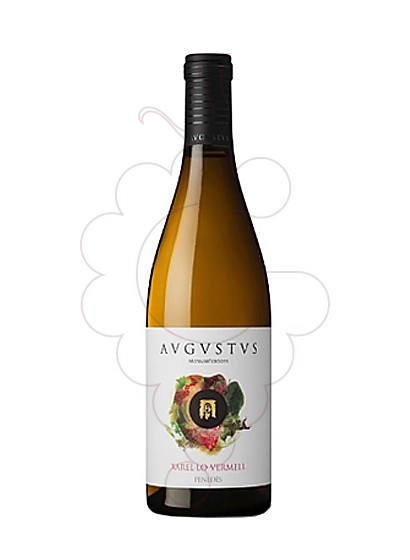 Foto Augustus Xarel.lo Vermell vino blanco