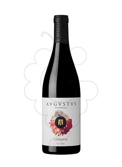 Foto Augustus Garnatxa vino tinto