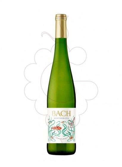Bach Mediterranea