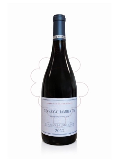 Foto Bruno Clair Gevrey-Chambertin vino tinto