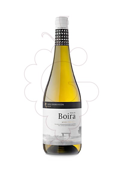 Foto Blanc de Boira vino blanco