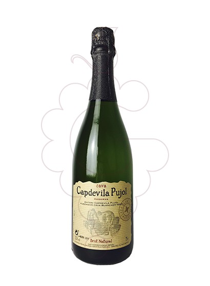 Capdevila Pujol Brut Nature 2020