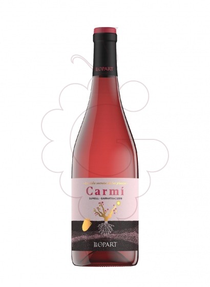 Foto Llopart Carmí La Vida Secreta de les Plantes vino rosado