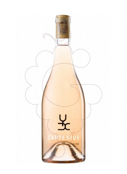 Cartesius Rosado 2024