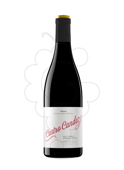 Foto Castro Candaz Finca el Curvado vino tinto