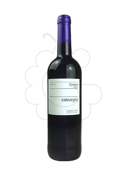 Foto Cataregia Criança vino tinto