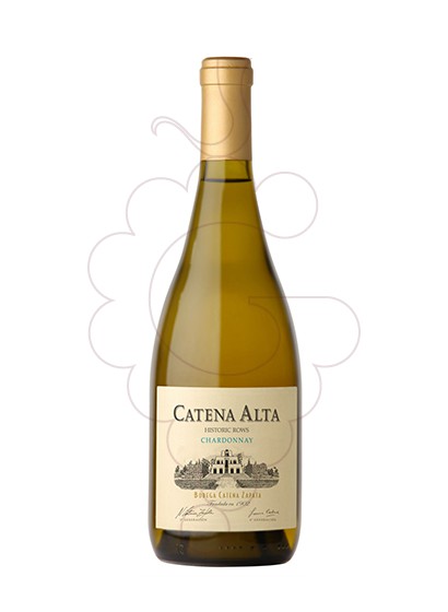 Catena Alta Chardonnay 2019