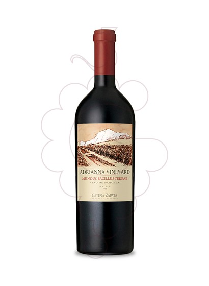 Catena Zapata Adrianna Vineyard Mundus Bacillus Terrae
