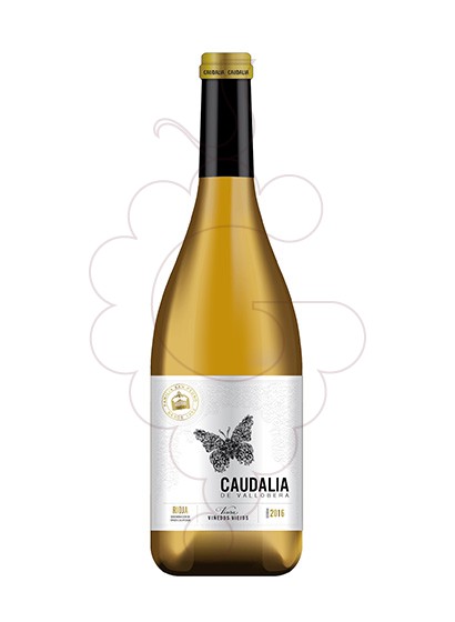 Foto Caudalia de Vallobera vino blanco