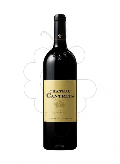 Foto Chateau Cantelys Magnum vino tinto