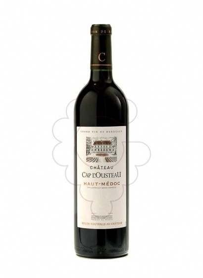 Chateau Cap L'Ousteau Haut-Med 2015