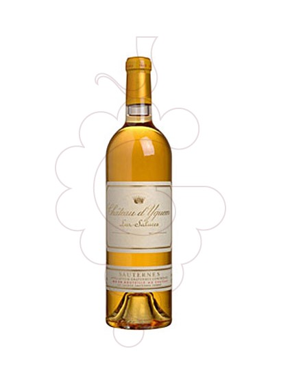 Foto Chateau d'Yquem  vino generoso