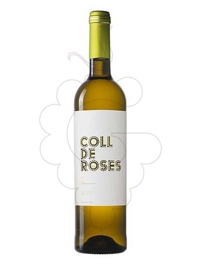 Coll De Roses Blanc Selecció 2018