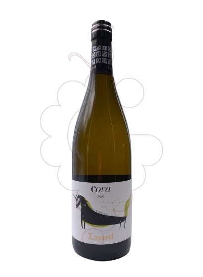 Loxarel Cora 2023