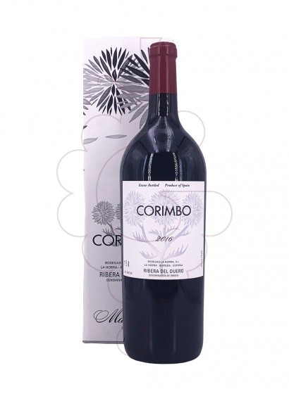 Corimbo Magnum 2020