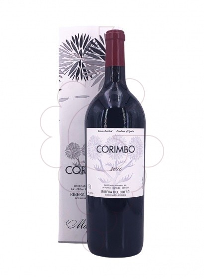 Corimbo Magnum 2019