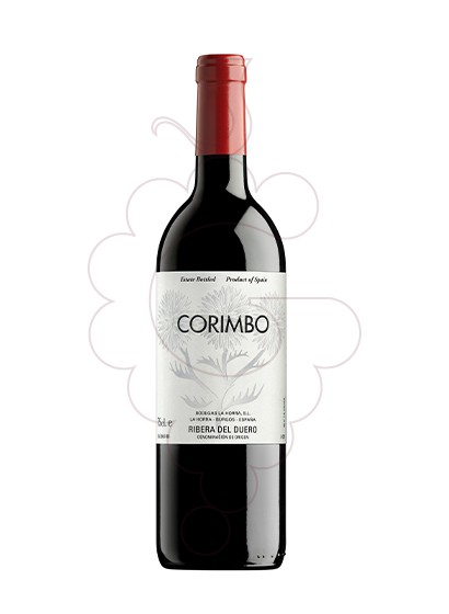 Corimbo