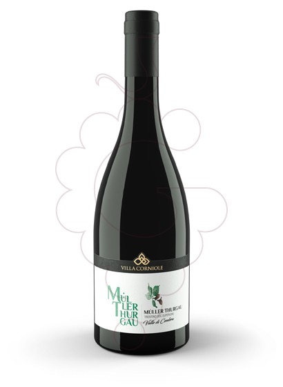 Villa Corniole Müller Thurgau Pietramontis 2018