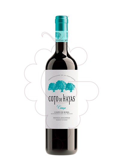 Coto De Hayas Crianza 2021
