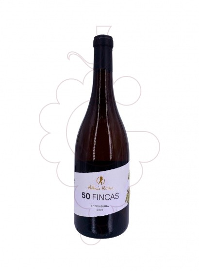 50 Fincas Antonio Montero De Finca 2021