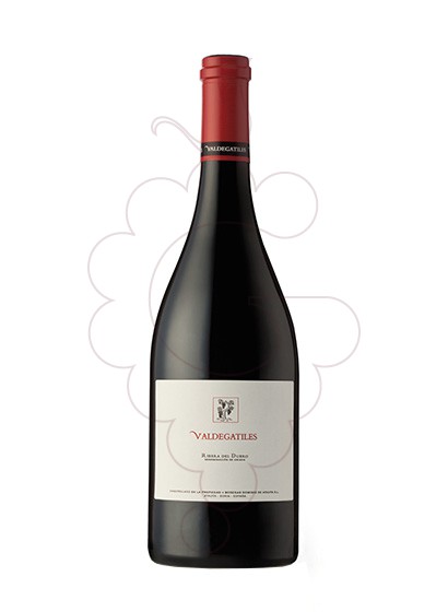Dominio De Atauta Valdegatiles 2017