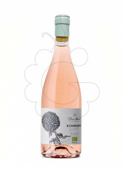 Echinops Dom Brial Rose 75 Cl 2022