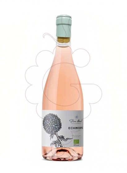 Foto Echinops Dom Brial Rose vino rosado