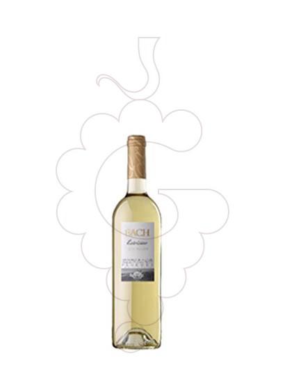 Foto Bach Extrísimo Blanco Semi Dulce (mini) vino blanco