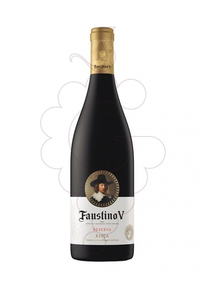 Faustino V Reserva Magnum 2016