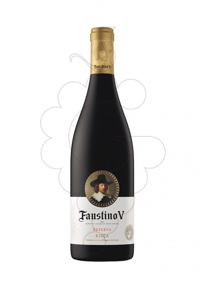 Faustino V Reserva Magnum 2013