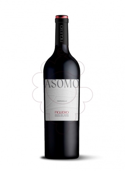 Figuero Asomo 2023