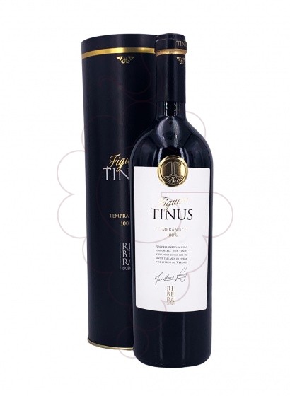 Figuero Tinus 2019