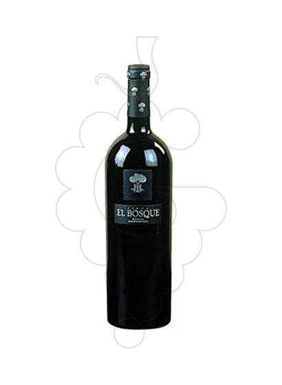 Finca El Bosque 2018