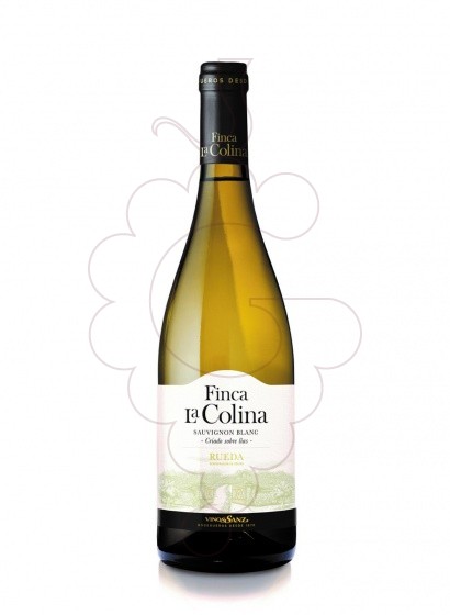 Finca La Colina Sauvignon Blanc 2023