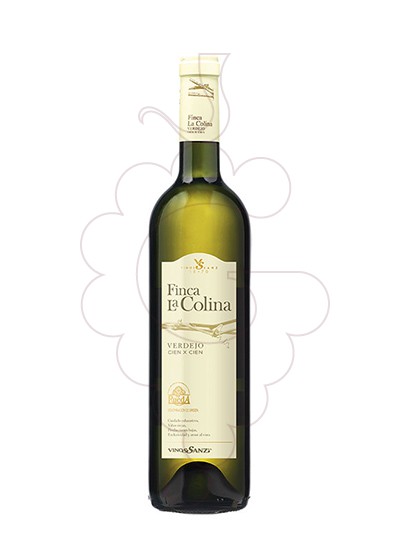 Foto Finca la Colina Verdejo Magnum vino blanco